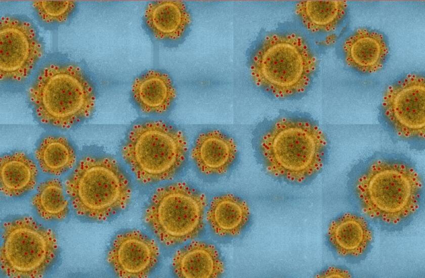 Naujasis koronavirusas - kaip nuo jo apsisaugoti?