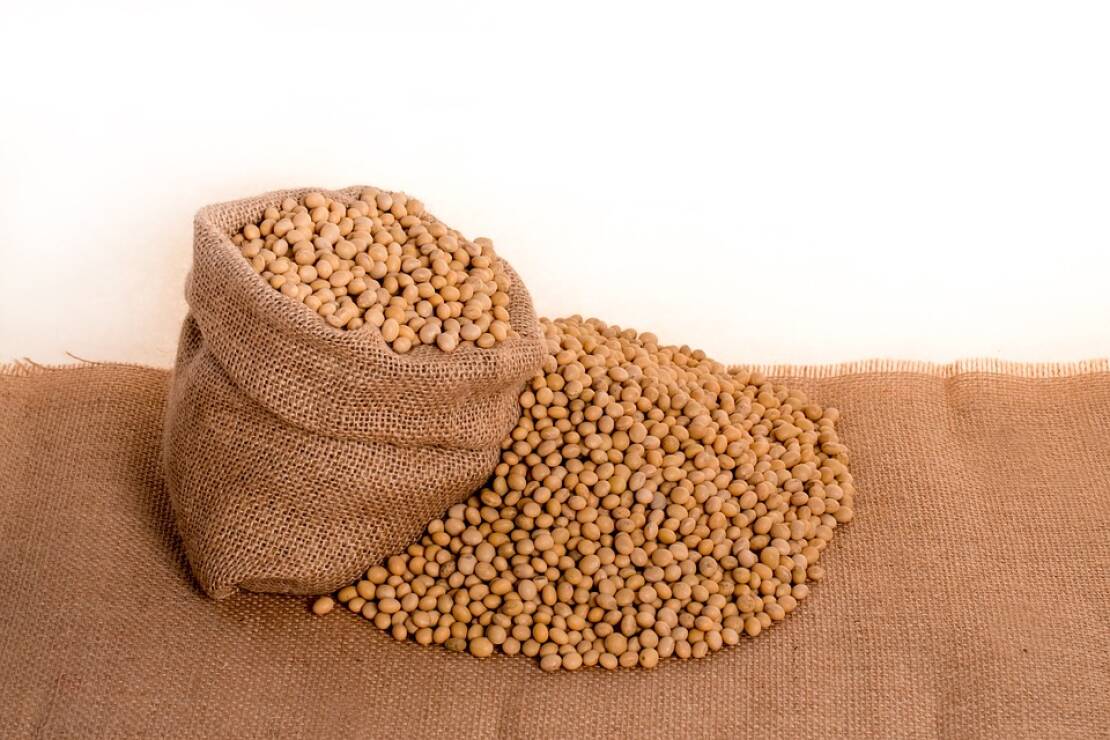 Pusė grūdo per metus?