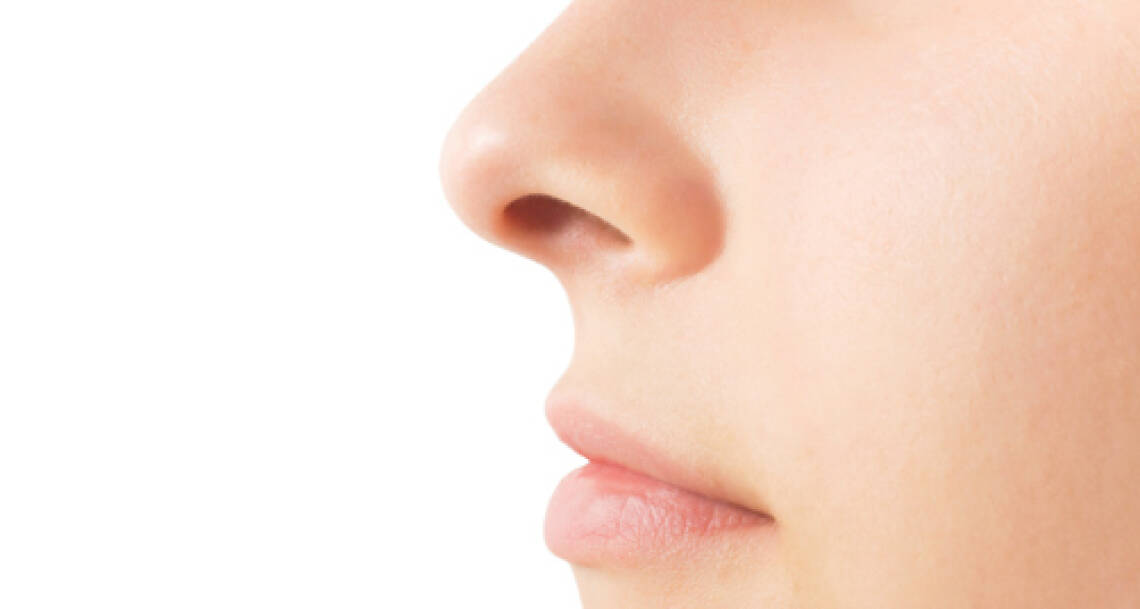 Nosies kriauklių plastika (konchoplastika) ir nosies pertvaros plastika (septoplastika)