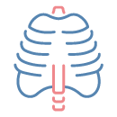 Pulmonologijos centras